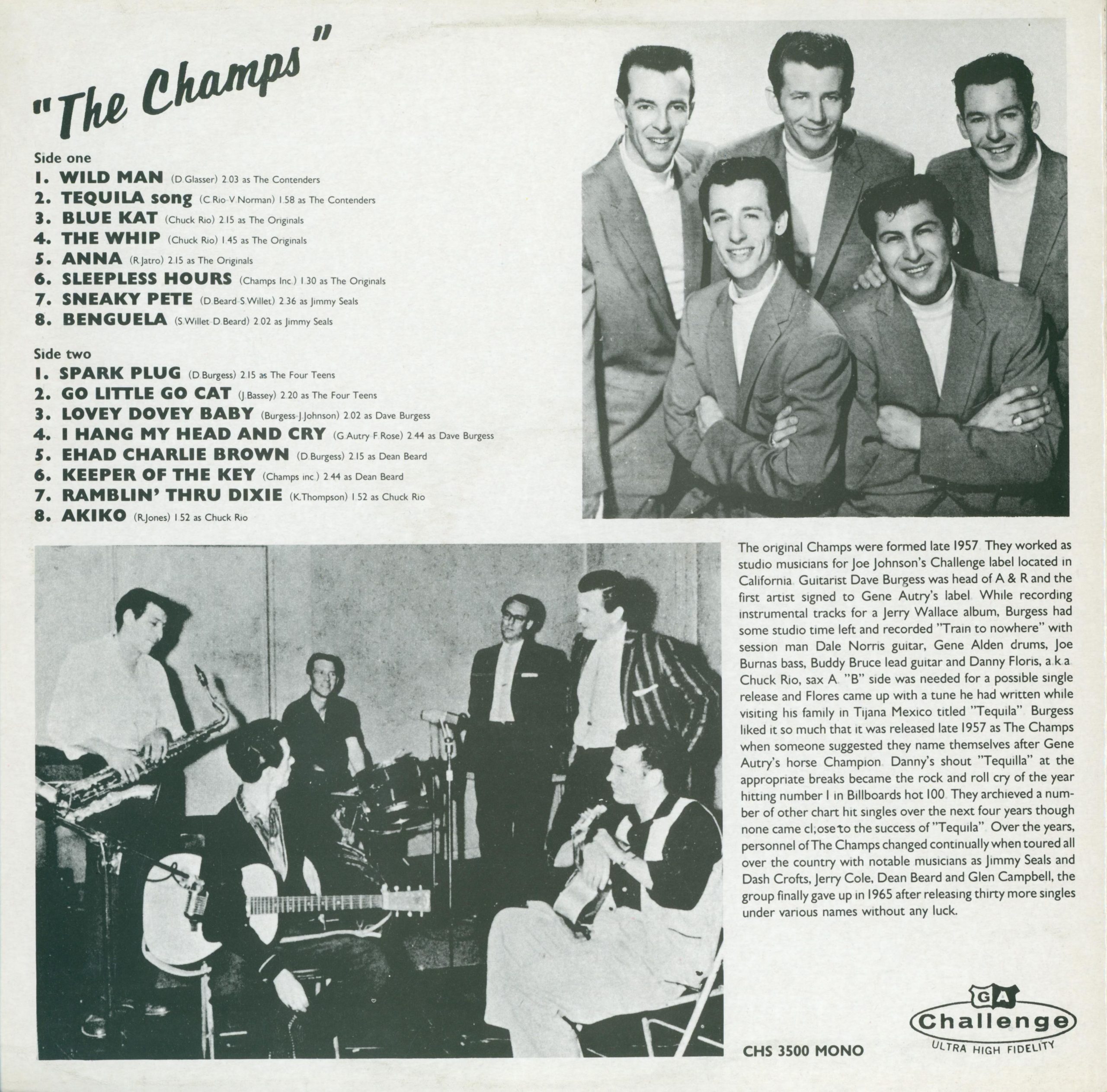 Go Little Go Cat Rückseite